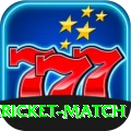 all cricket match Pro Edition v3.4.0