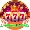 all cricket - Real Money VIP
