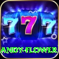 andy flower Apps (Tools & Injectors) Max v5.3.0