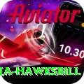 antigua hawksbill Apps (Tools & Injectors) VIP v4.2.5