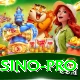 betandyou88.pk - Casino Pro