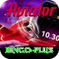 bingo VIP Pro v1.5.5