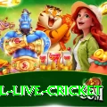 bpl live cricket Ultimate Pro v1.1.1