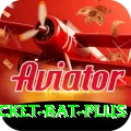 cricket bat App Deluxe v1.8.9