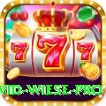 david wiese - Pro Earning App