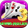 dawid malan Deluxe Pro v5.3.4