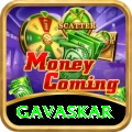 gavaskar Max v5.8.6