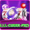 herschelle gibbs APK Prime v4.4.8