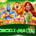 india cricket match Gold v5.1.7