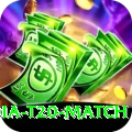 india t20 match VIP Edition v1.0.0