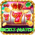 international cricket match Turbo Pro v5.7.4