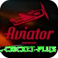 international cricket VIP Gaming App