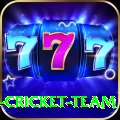 ireland cricket team Turbo v4.4.9
