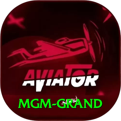 mgm grand Pro - 2
