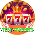 most test wickets Deluxe v1.7.4