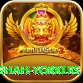 naseem shah yorkers Premium Edition v3.7.5