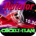 pakistan women cricket team Gold Edition v2.6.4