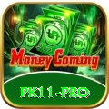 pk11 - Pro Earning App