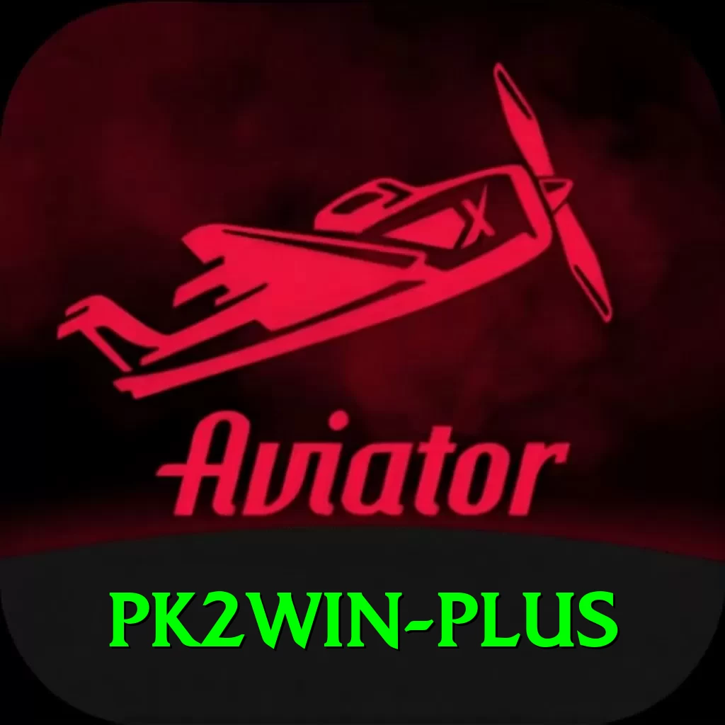 pk2win Plus v5.5.6 - 2