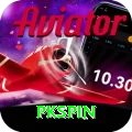 pkspin Max Pro vv5.2.3