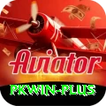 pkwin Premium Edition v1.5.5