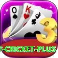 play cricket Live Prime v2.0.1