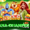 pothana dhampus Master v1.5.5