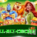 risk free bet cricket Deluxe Edition v3.5.7