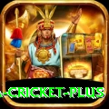 sa cricket App King v1.2.8