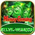 steve waugh Ultimate v5.0.1