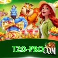 t20 Gold v1.9.3