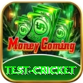 test cricket Pro Max v1.7.6