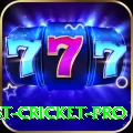 test cricket Cash Turbo