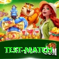 test match Apps (Tools & Injectors) Ultimate v5.6.3