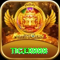 tiger888 VIP v5.3.7