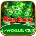 under 19 cricket world cup Max Pro v2.3.7