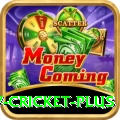 v cricket Slots Plus v4.2.1