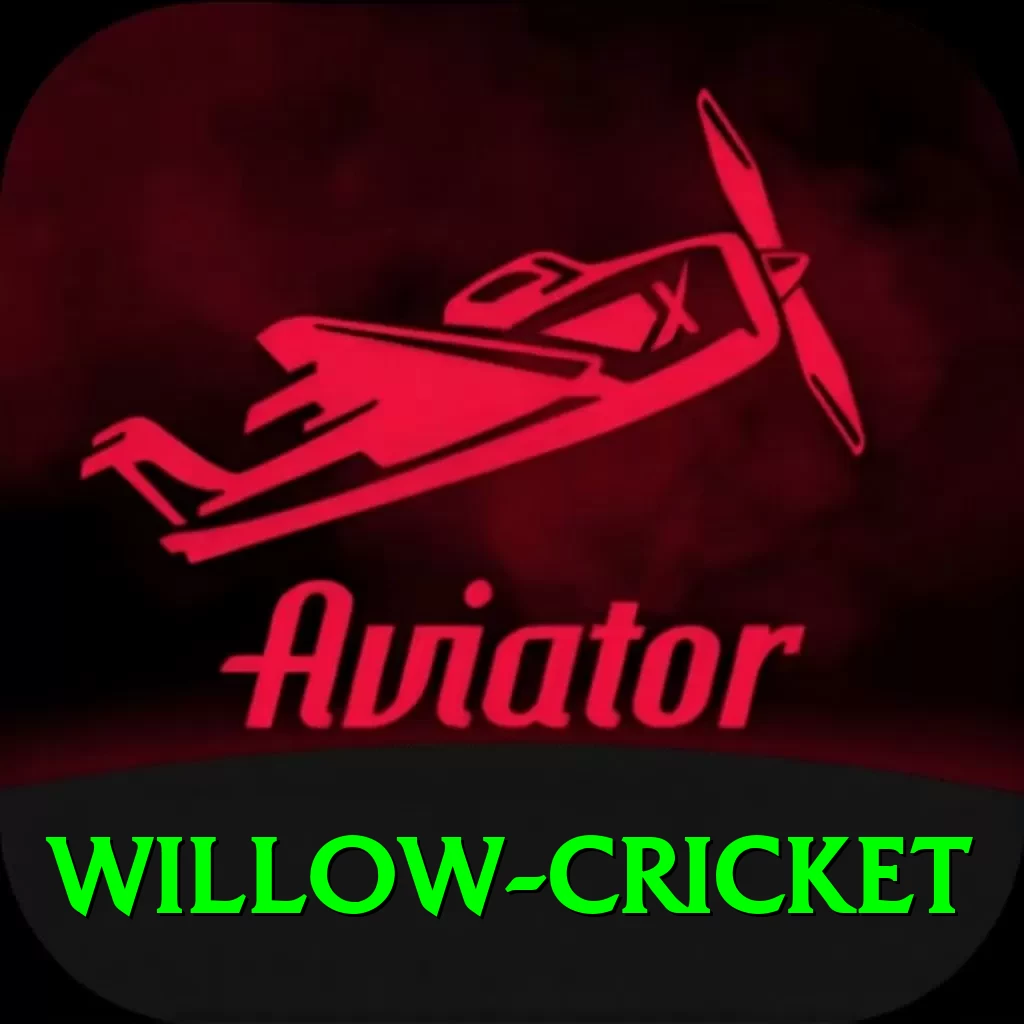 willow cricket Master Pro v2.0.3 - 2