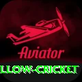 willow cricket Master Pro v2.0.3