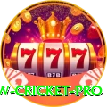 willow cricket Cash Royal