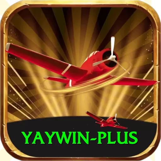 yaywin Deluxe Pro v2.6.1 - 2